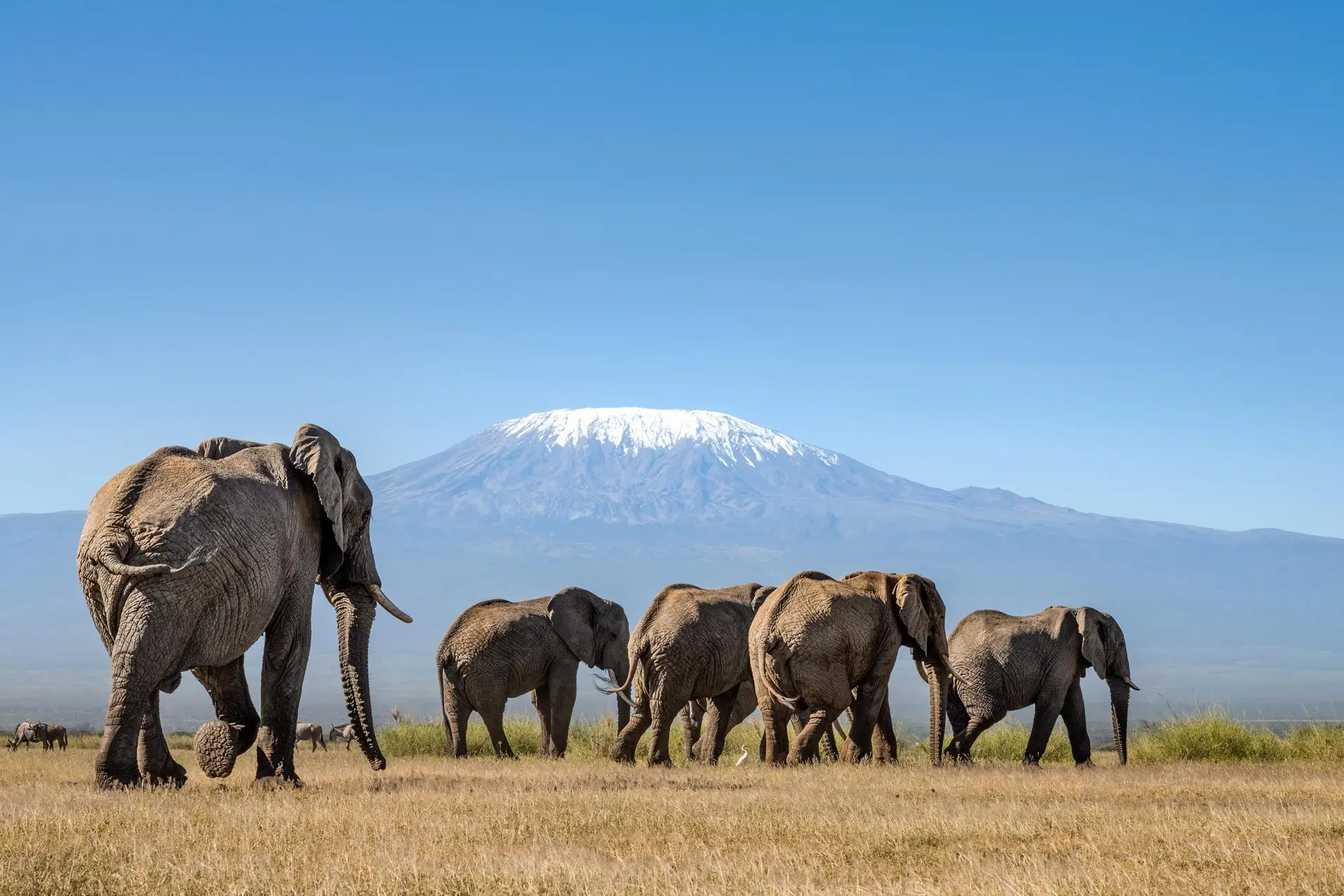 Amboseli Elephant Sanctuary